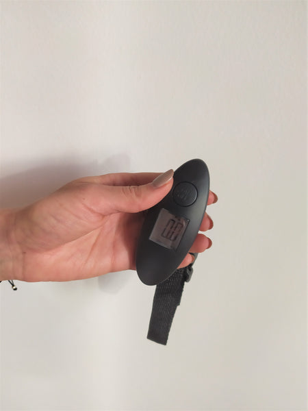 Suitcase scale