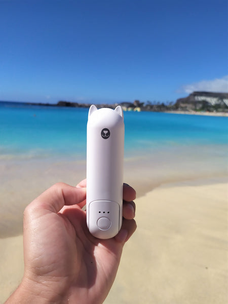 Portable mini fan powerbank