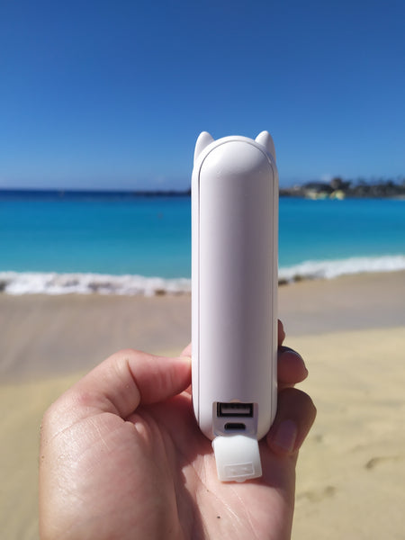 Quick powerbank charger
