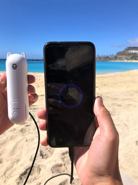 powerful power bank